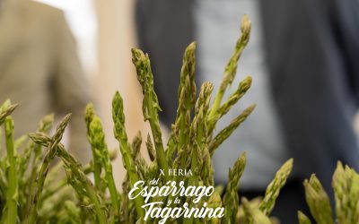 Feria del Esparrago y la tagarnina